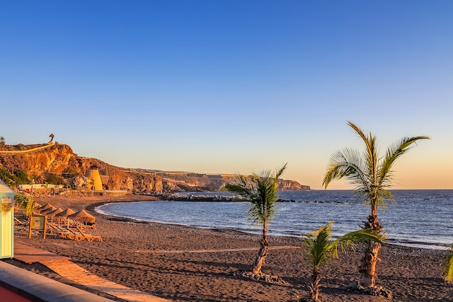 Tenerife reischeck