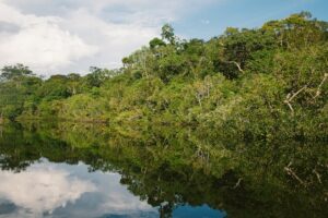 Alles over het Amazone gebied in Zuid-Amerika
