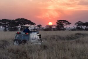 Tanzania Safari: Ontdek de mooiste nationale parken en reservaten van Tanzania