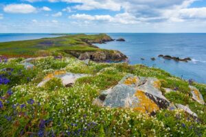 Rondreizen in Ierland: ontdek de Ierse westkust!