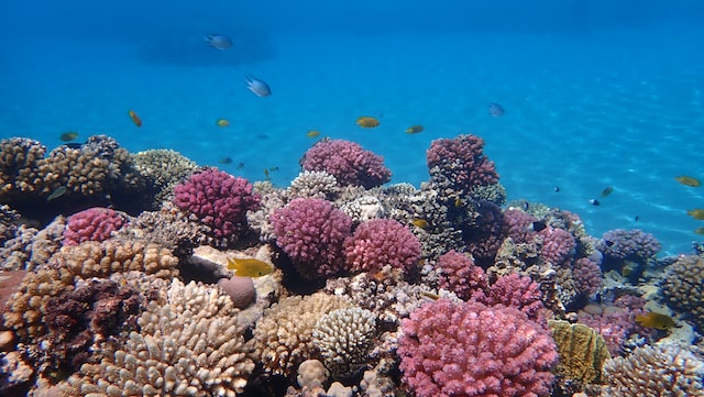 Makadi Bay