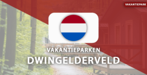 vakantieparken Dwingelderveld