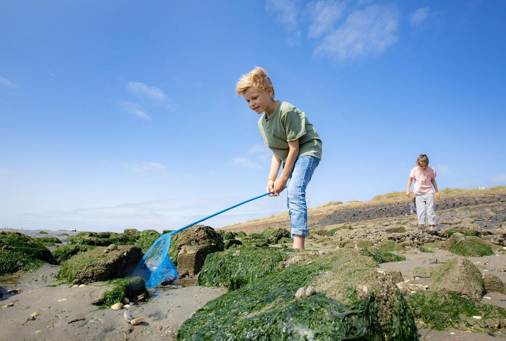 landal-west-terschelling