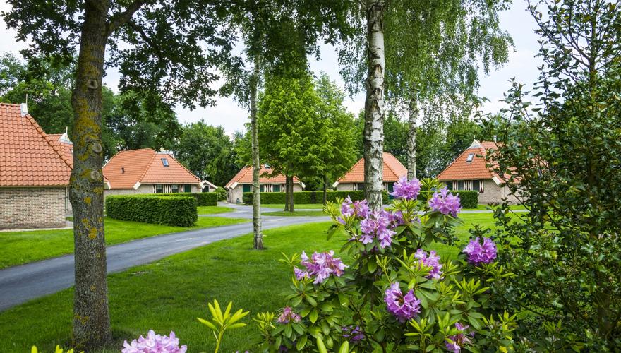 landschapspark-striks-erve-ijhorst-overijssel