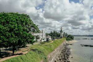 Rondreizen in Sri Lanka: Ontdek de prachtige natuur!