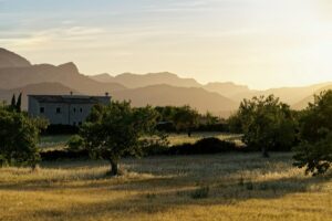 Agriturismo Mallorca: de 10 mooiste finca's