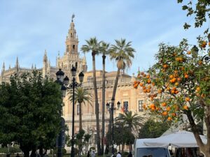 Reisgids Sevilla: Tips voor een stedentrip Sevilla