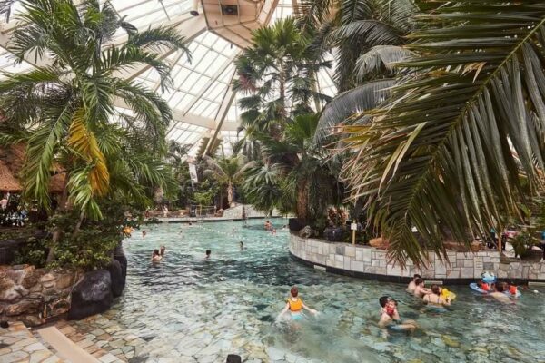 subtropisch palmbomen zwembad aqua mundo eemhof