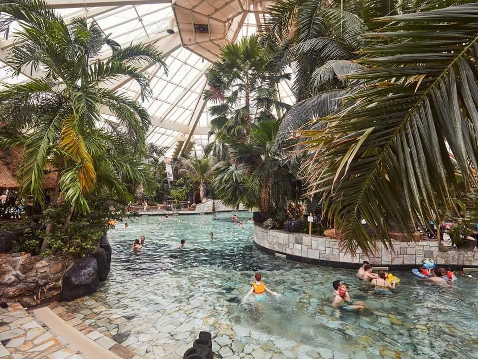 subtropisch palmbomen zwembad aqua mundo eemhof