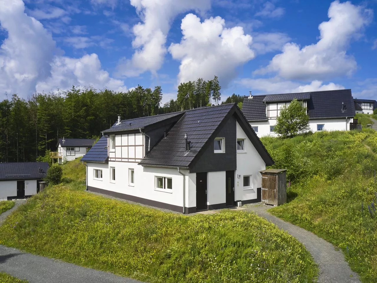 16-persoons accommodatie bij Landal Winterberg