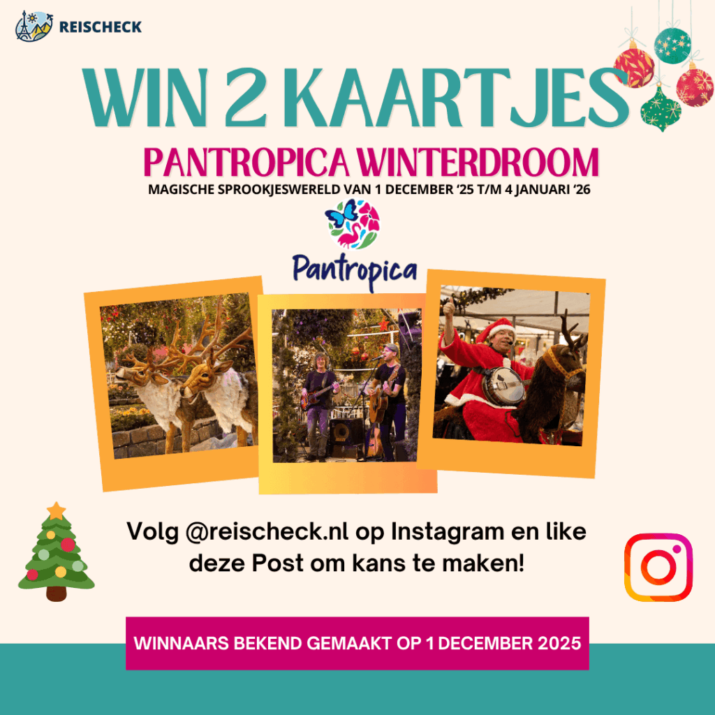 Pantropica Winterdroom winactie 2025 update small
