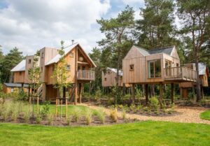 Overnachten in een boomhut