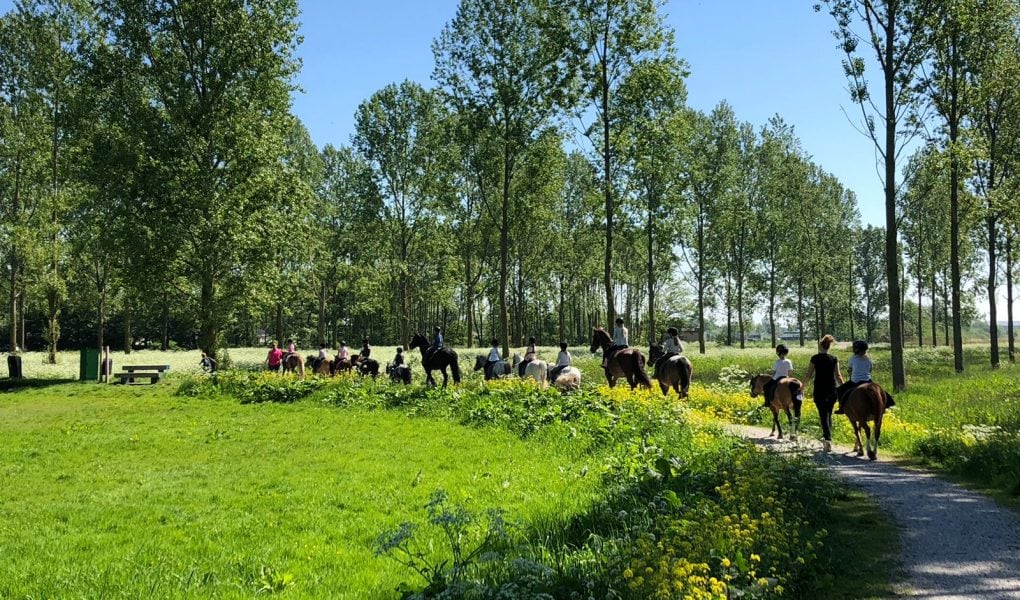 TopParken Parc de IJsselhoeve