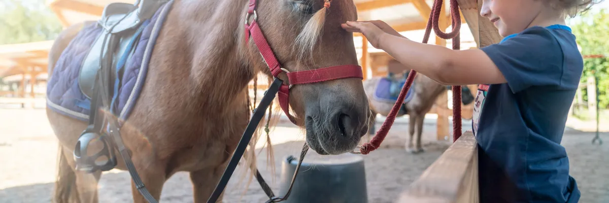 Landal Het Land van Bartje