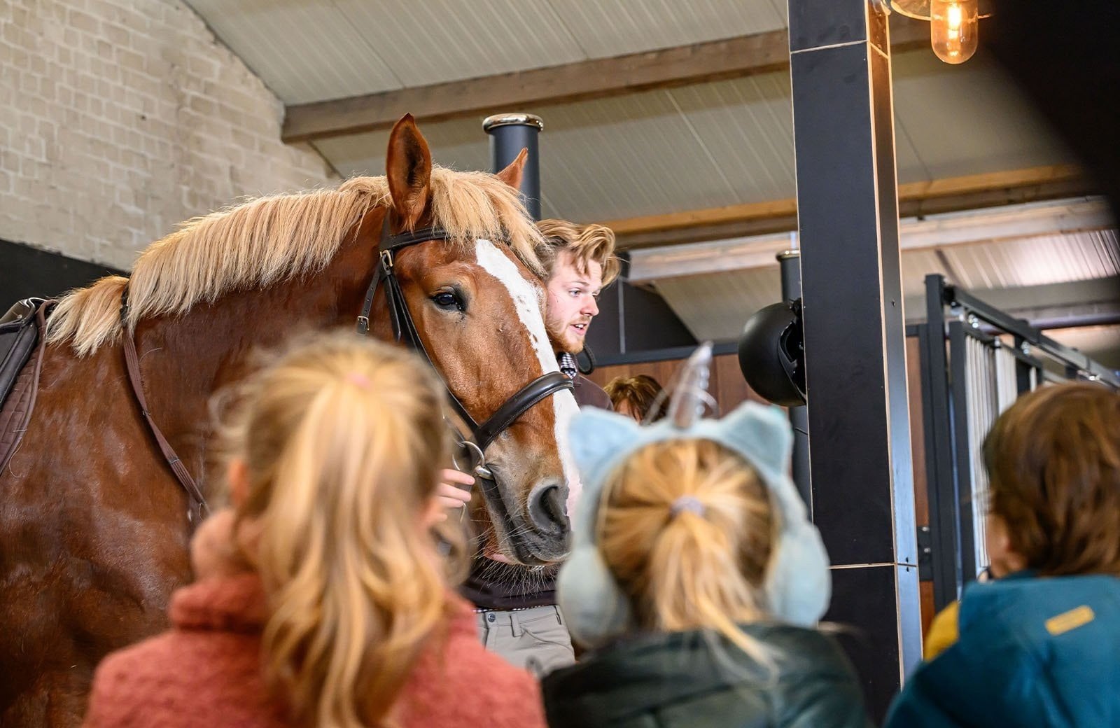 Familie Resort Molenwaard