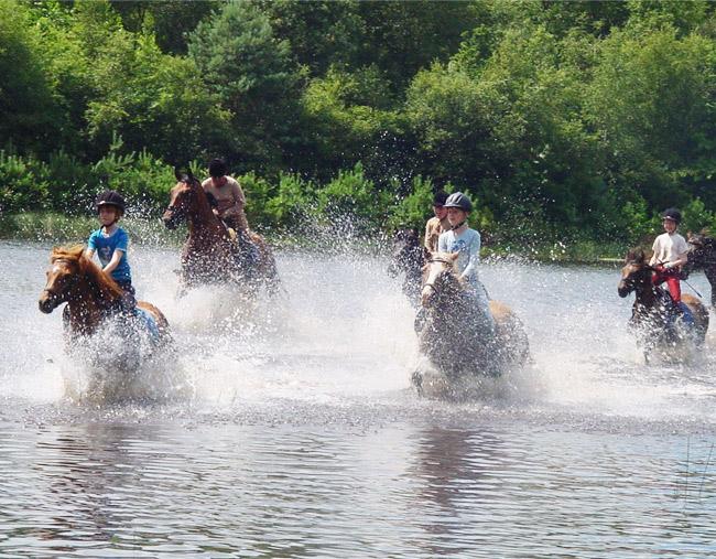 Vakantieoord de Bronzen Emmer