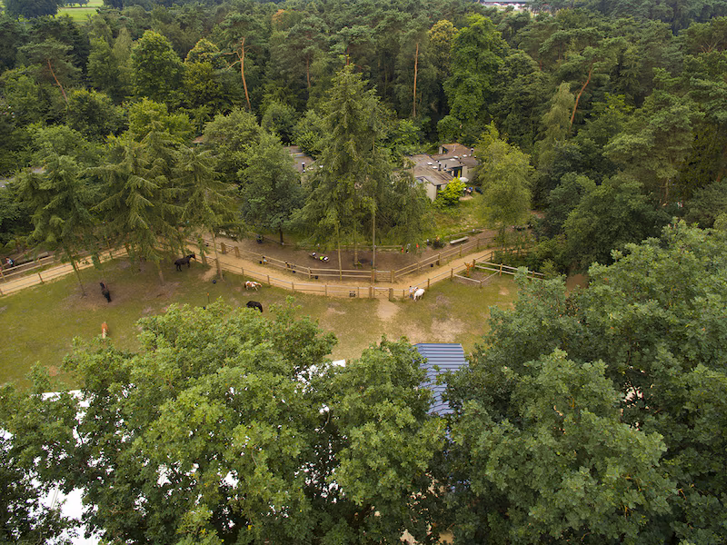 Center Parcs De Huttenheugte