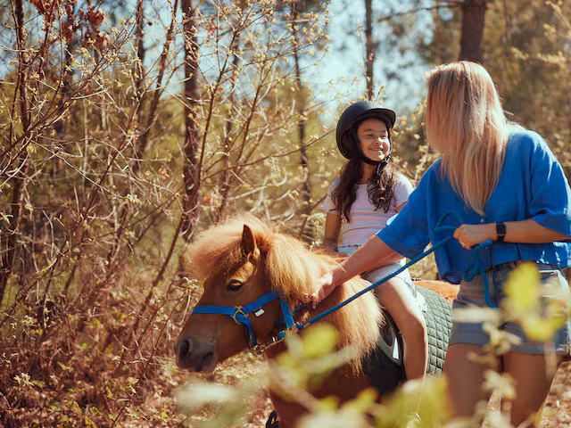 Center Parcs De Vossemeren