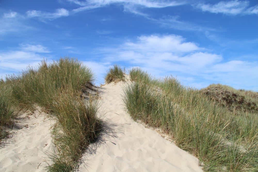 Strand Bergen aan Zee