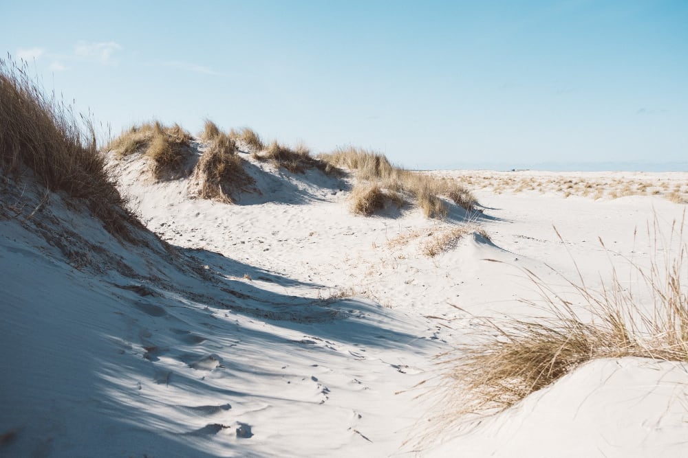 Strand Bloemendaal aan Zee