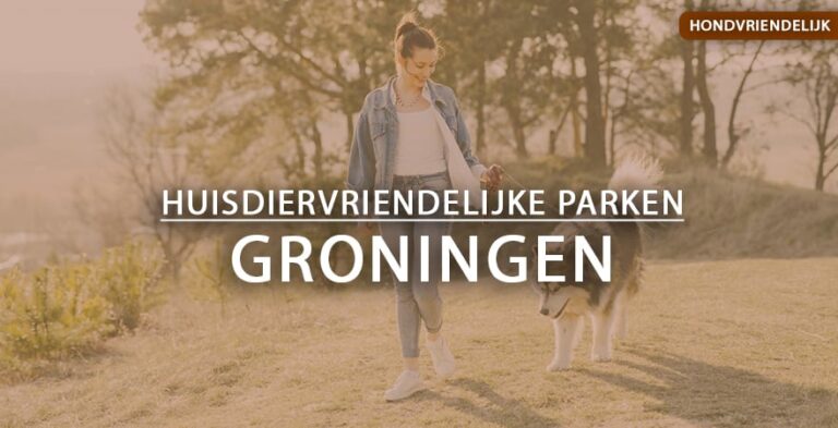 hondvriendelijke vakantieparken Groningen