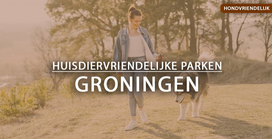 hondvriendelijke vakantieparken Groningen