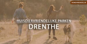 hondvriendelijke vakantieparken drenthe