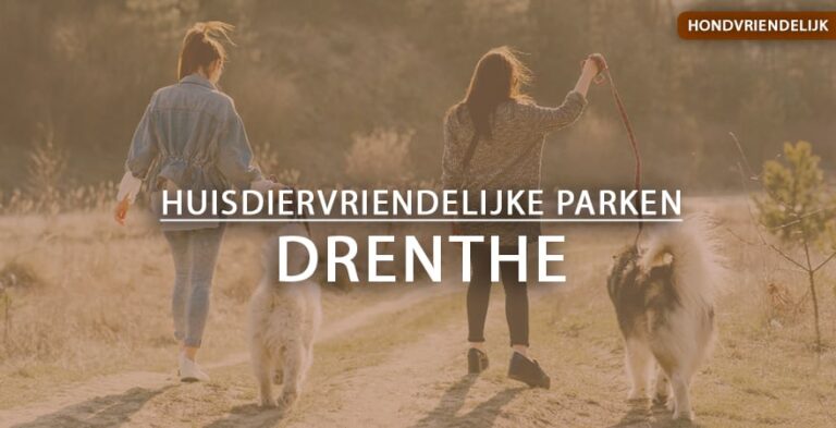 hondvriendelijke vakantieparken drenthe