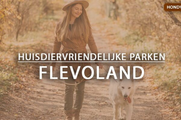 hondvriendelijke vakantieparken flevoland