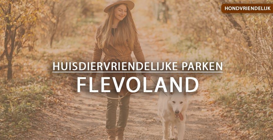 hondvriendelijke vakantieparken flevoland
