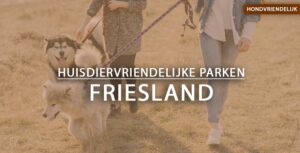 hondvriendelijke vakantieparken friesland