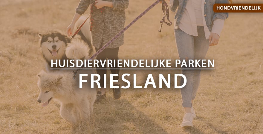 hondvriendelijke vakantieparken friesland