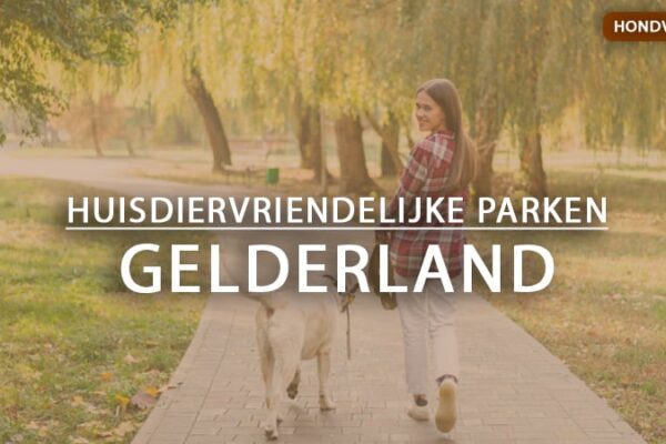 hondvriendelijke vakantieparken gelderland