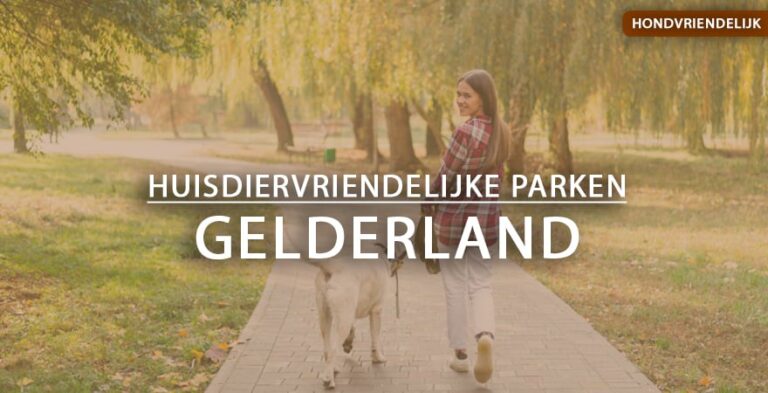 hondvriendelijke vakantieparken gelderland