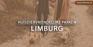 hondvriendelijke vakantieparken limburg