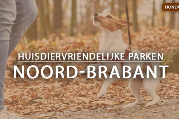 hondvriendelijke vakantieparken noord-brabant