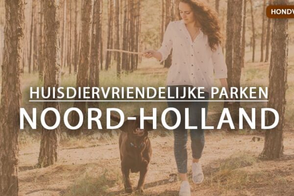 hondvriendelijke vakantieparken noord-holland