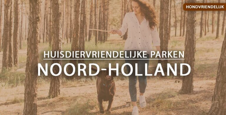 hondvriendelijke vakantieparken noord-holland
