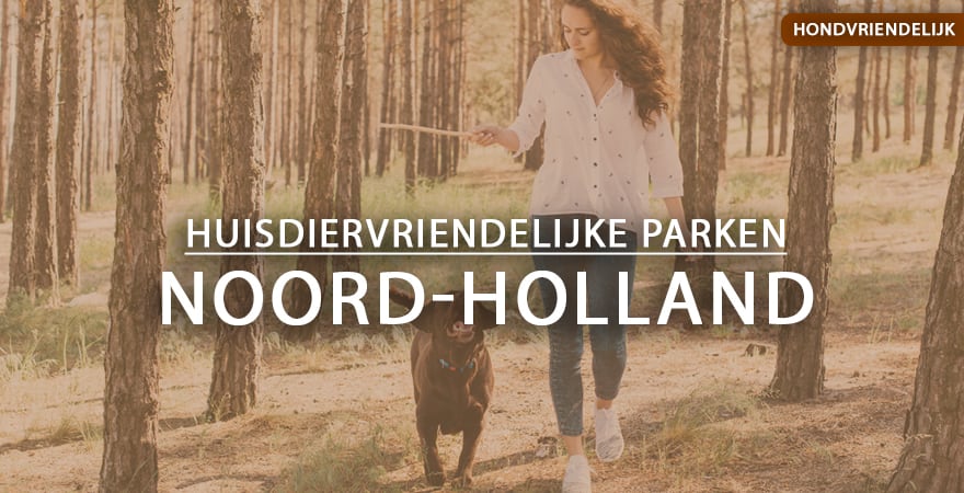 hondvriendelijke vakantieparken noord-holland