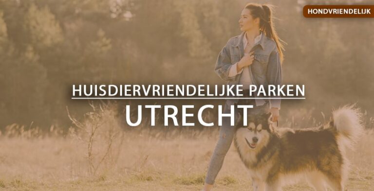 hondvriendelijke vakantieparken utrecht
