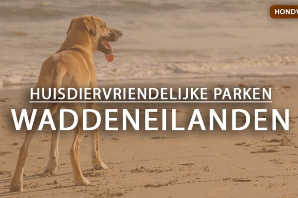 hondvriendelijke vakantieparken waddeneilanden