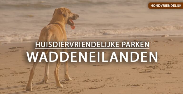 hondvriendelijke vakantieparken waddeneilanden