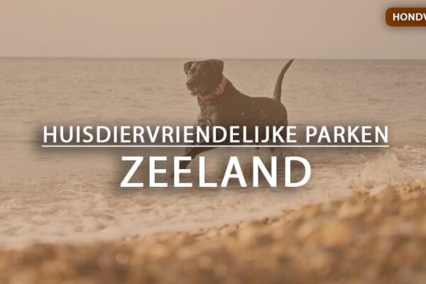 hondvriendelijke vakantieparken zeeland