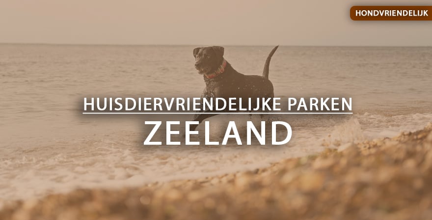 hondvriendelijke vakantieparken zeeland