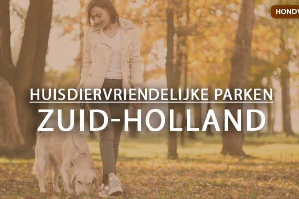 hondvriendelijke vakantieparken zuid-holland