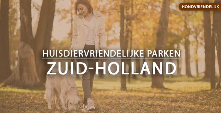 hondvriendelijke vakantieparken zuid-holland