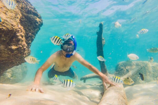 Hotels in Egypte met huisrif