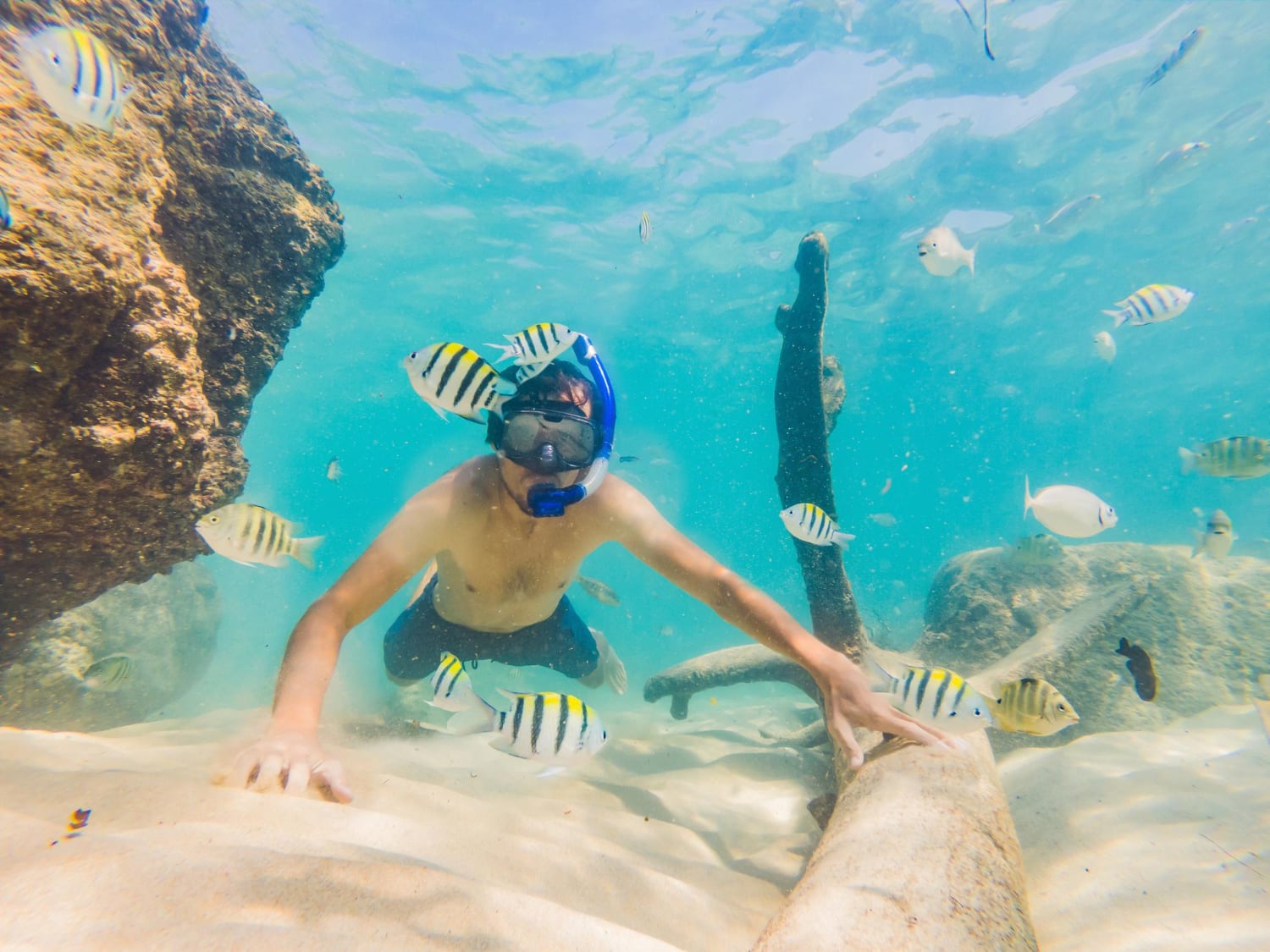 Hotels in Egypte met huisrif