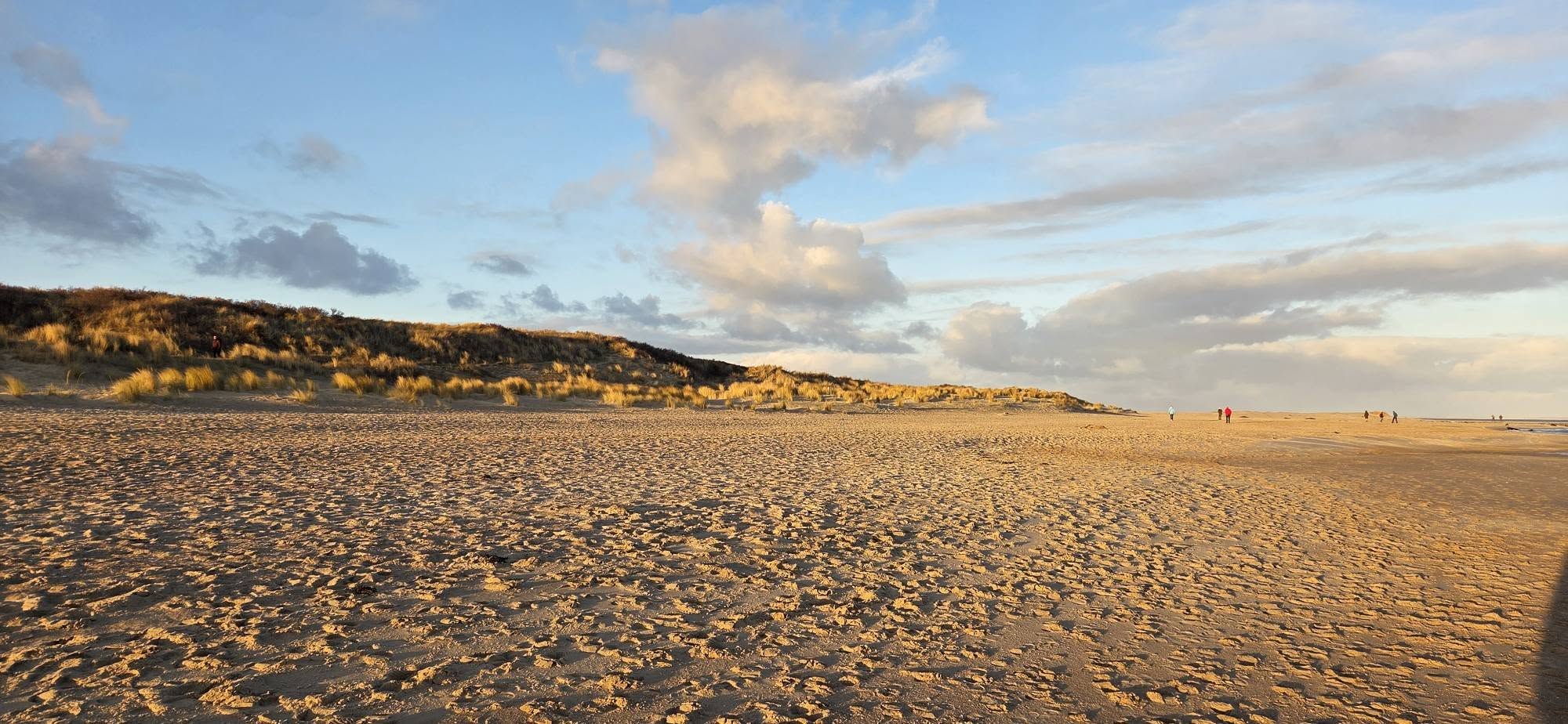 Strand Vlieland