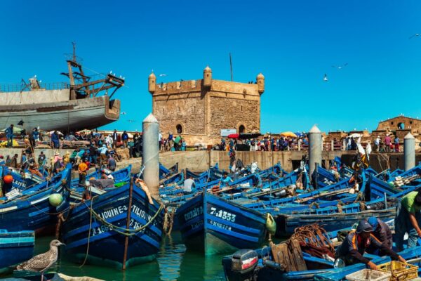 Wat te doen in Essaouira (Marokko)? Onze 12 tips!